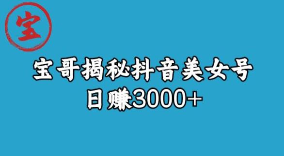 宝哥揭秘抖音美女号玩法，日赚3000+【揭秘】-赚钱驿站