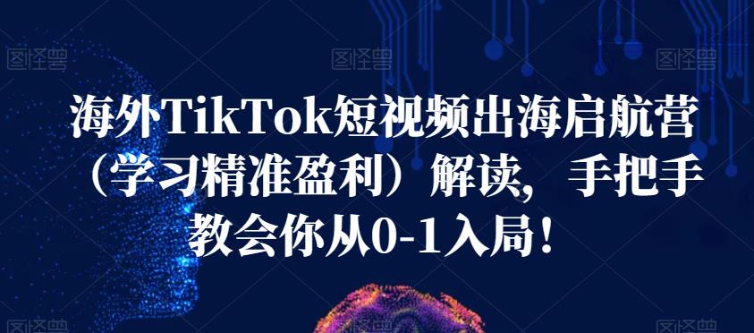 海外TikTok短视频出海启航营（学习精准盈利）解读，手把手教会你从0-1入局！-赚钱驿站