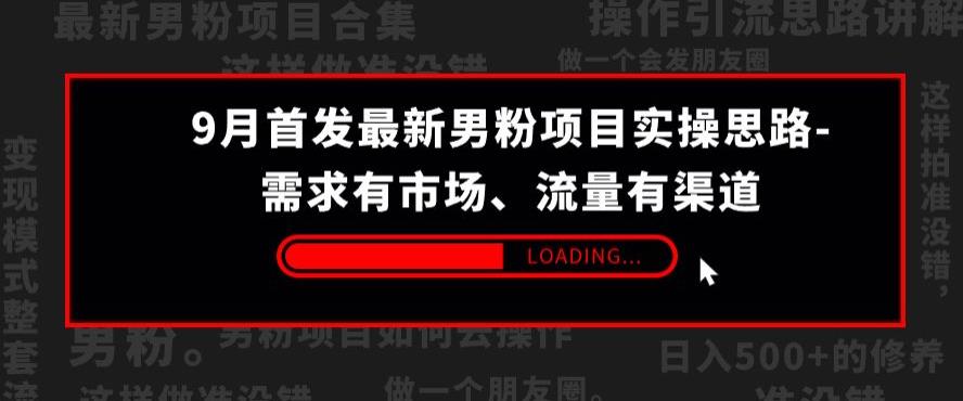 9月首发最新男粉项目实操思路-需求有市场，流量有渠道【揭秘】-赚钱驿站