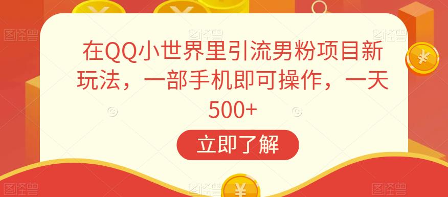 在QQ小世界里引流男粉项目新玩法，一部手机即可操作，一天500+【揭秘】-赚钱驿站