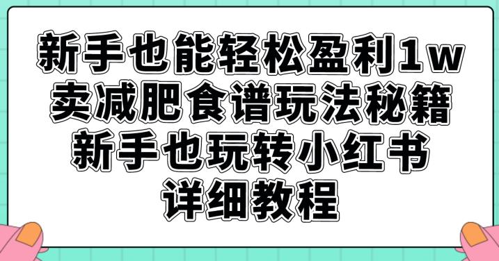 新手也能轻松盈利1w，卖减肥食谱玩法秘籍，新手也玩转小红书详细教程【揭秘】-赚钱驿站