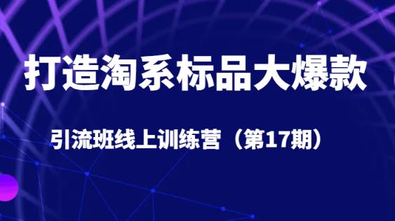 打造淘系标品大爆款引流班线上训练营（第17期）5天直播授课-赚钱驿站