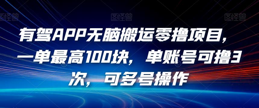 有驾APP无脑搬运零撸项目，一单最高100块，单账号可撸3次，可多号操作【揭秘】-赚钱驿站