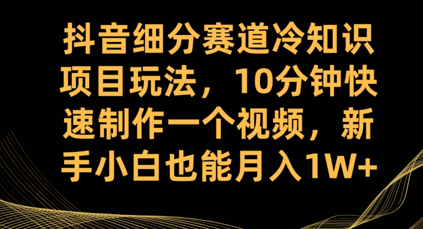 抖音细分赛道冷知识项目玩法，10分钟快速制作一个视频，新手小白也能月入1W+【揭秘】-赚钱驿站