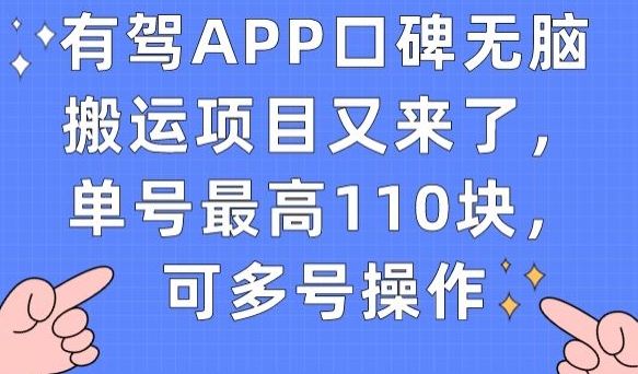 有驾APP口碑无脑搬运项目又来了，单号最高110块，可多号操作-赚钱驿站