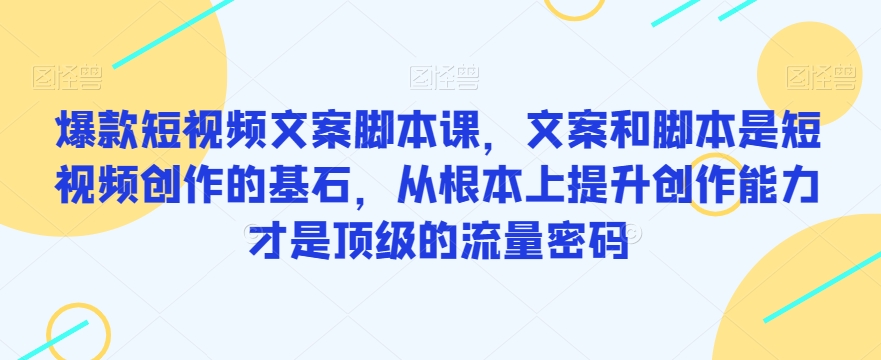 爆款短视频文案脚本课，文案和脚本是短视频创作的基石，从根本上提升创作能力才是顶级的流量密码-赚钱驿站