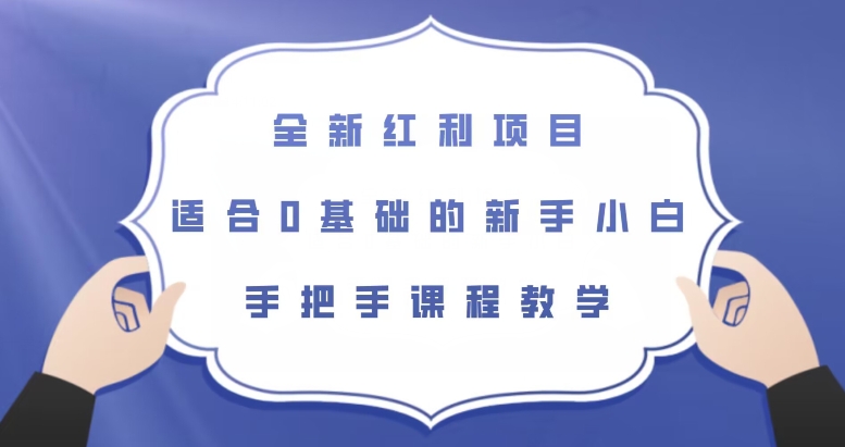 全新红利项目，适合0基础的新手小白，手把手课程教学【揭秘】-赚钱驿站