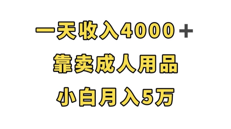 一天收入4000+，靠卖成人用品，小白轻松月入5万【揭秘】-赚钱驿站