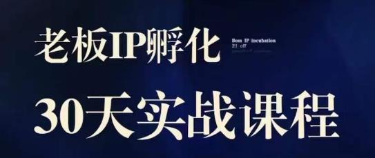 诸葛·2023老板IP实战课，实体同城引流获客，IP孵化必听-赚钱驿站