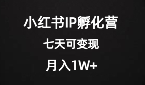 价值2000+的小红书IP孵化营项目，超级大蓝海，七天即可开始变现，稳定月入1W+-赚钱驿站