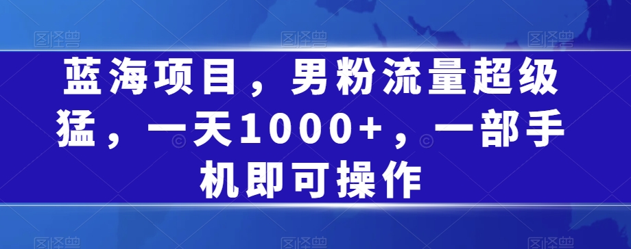 蓝海项目，男粉流量超级猛，一天1000+，一部手机即可操作【揭秘】-赚钱驿站