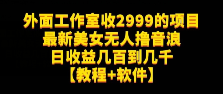 外面工作室收2999的项目最新美女无人撸音浪日收益几百到几千【教程+软件】（仅揭秘）-赚钱驿站