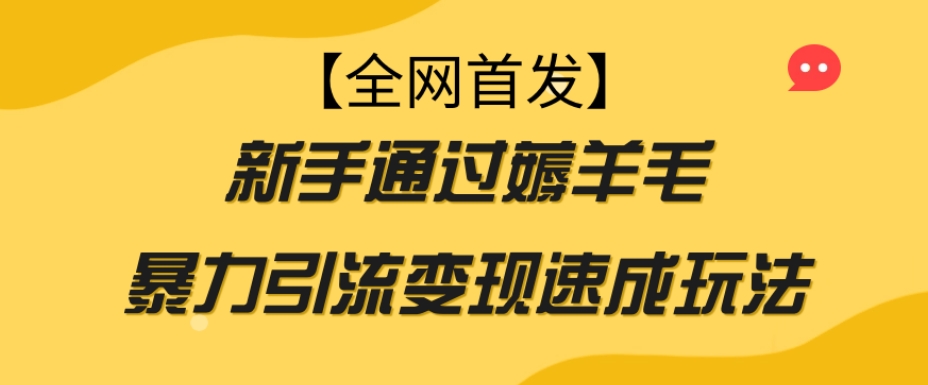 【全网首发】新手通过薅羊毛暴力引流变现速成玩法-赚钱驿站