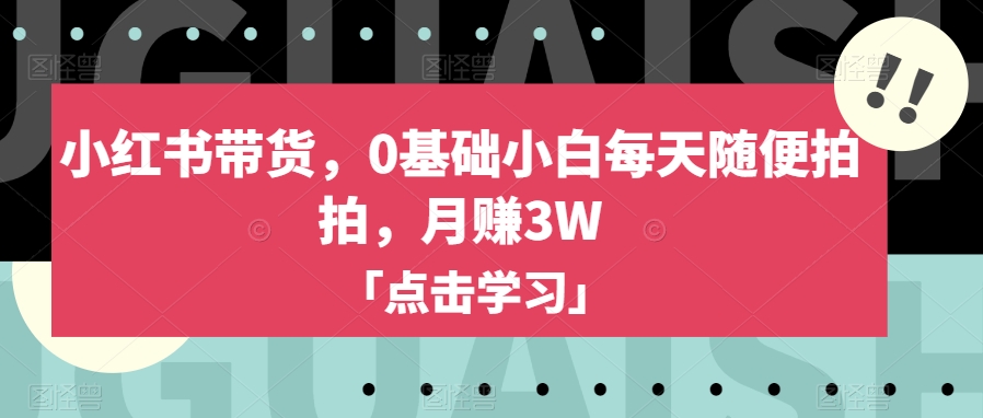 小红书带货，0基础小白每天随便拍拍，月赚3W【揭秘】-赚钱驿站