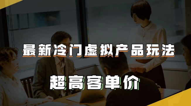 最新冷门虚拟产品玩法，超高客单价，月入2-3万＋【揭秘】-赚钱驿站