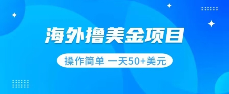 撸美金项目无门槛操作简单小白一天50+美刀-赚钱驿站