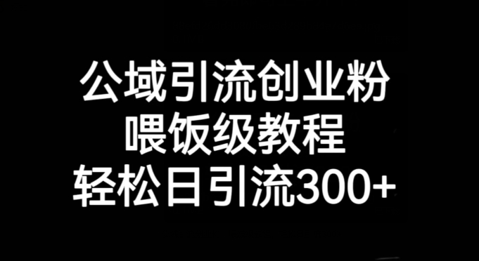 公域引流创业粉，喂饭级教程，轻松日引流300+【揭秘】-赚钱驿站