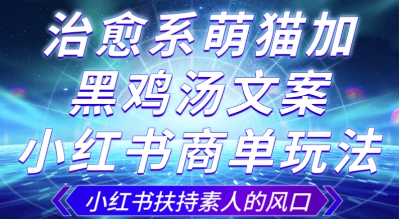 治愈系萌猫加+黑鸡汤文案，小红书商单玩法，3~10天涨到1000粉，一单200左右-赚钱驿站