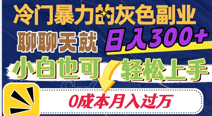 冷门暴利的副业项目，聊聊天就能日入300+，0成本月入过万【揭秘】-赚钱驿站