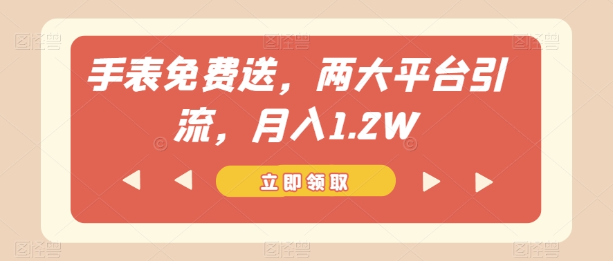 手表免费送，两大平台引流，月入1.2W【揭秘】-赚钱驿站