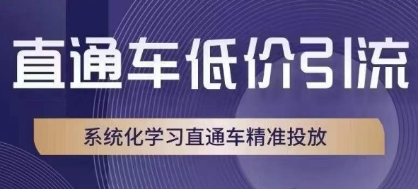 直通车低价引流课，系统化学习直通车精准投放-赚钱驿站