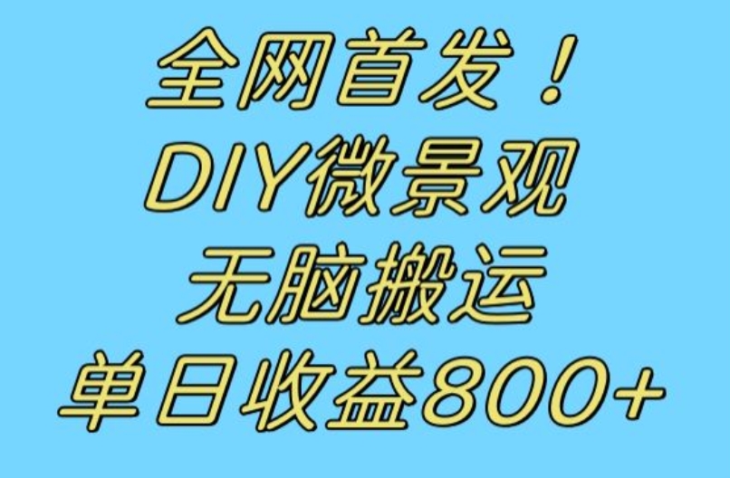 全网首发冷门赛道！DIY微景观，无脑搬运视频，日收益800+【揭秘】-赚钱驿站