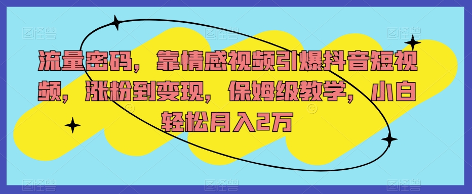 流量密码，靠情感视频引爆抖音短视频，涨粉到变现，保姆级教学，小白轻松月入2万【揭秘】-赚钱驿站