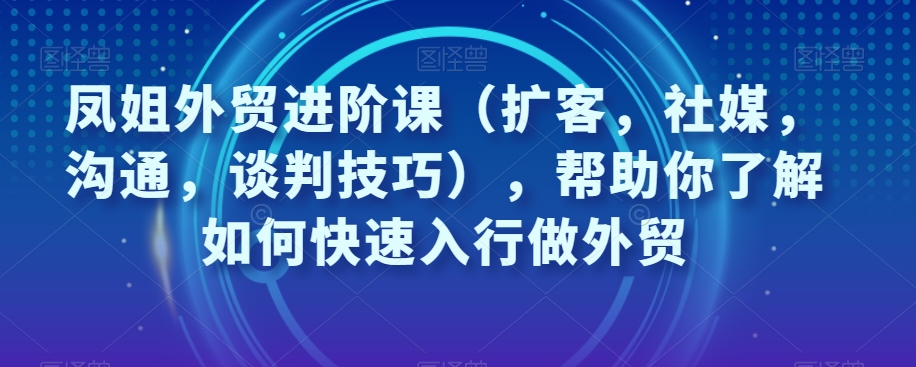 凤姐外贸进阶课（扩客，社媒，沟通，谈判技巧），帮助你了解如何快速入行做外贸-赚钱驿站