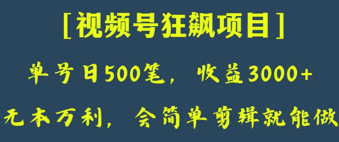 日收款500笔，纯利润3000+，视频号狂飙项目，会简单剪辑就能做【揭秘】-赚钱驿站