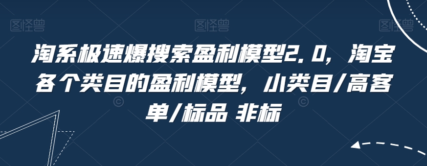 淘系极速爆搜索盈利模型2.0，淘宝各个类目的盈利模型，小类目/高客单/标品 非标-赚钱驿站