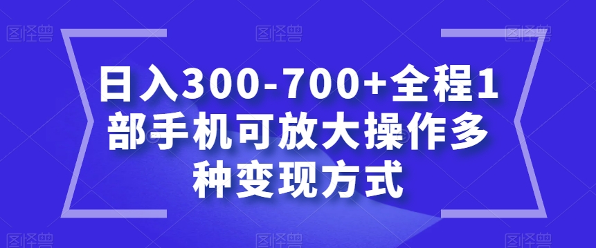 日入300-700+全程1部手机可放大操作多种变现方式【揭秘】-赚钱驿站