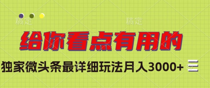 独家微头条最详细玩法，月入3000+【揭秘】-赚钱驿站