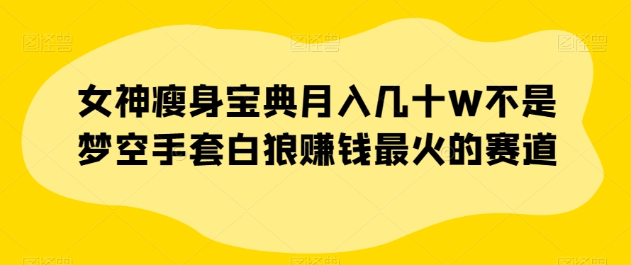 女神瘦身宝典月入几十W不是梦空手套白狼赚钱最火的赛道【揭秘】-赚钱驿站