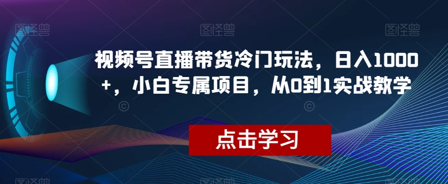 视频号直播带货冷门玩法，日入1000+，小白专属项目，从0到1实战教学【揭秘】-赚钱驿站