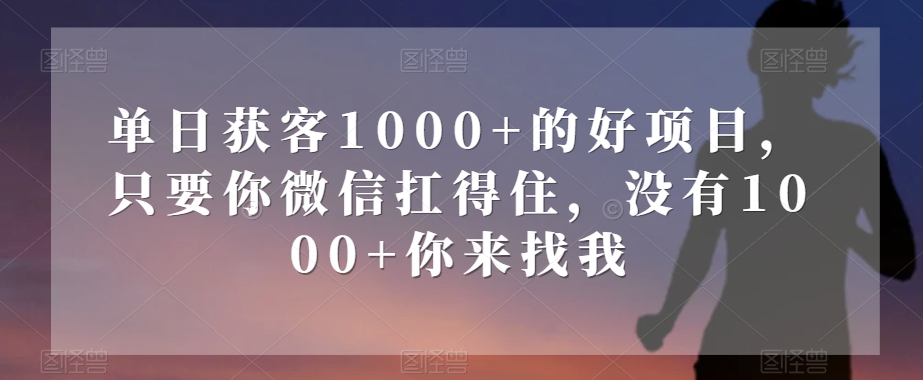 单日获客1000+的好项目，只要你微信扛得住，没有1000+你来找我【揭秘】-赚钱驿站