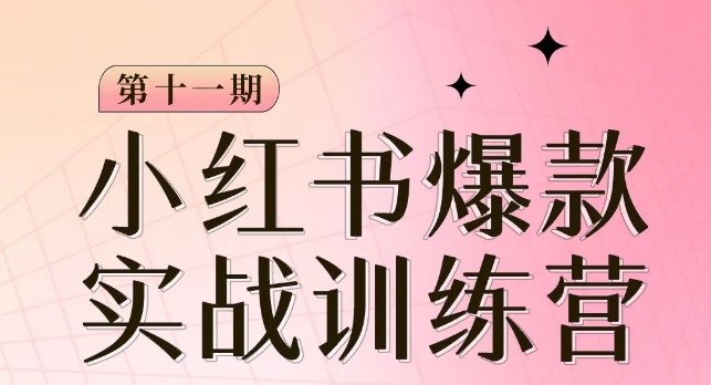 小红书博主爆款训练营第11期，手把手教你从0-1做小红书，从定位到起号到变现-赚钱驿站