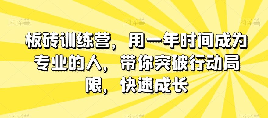 板砖训练营，用一年时间成为专业的人，带你突破行动局限，快速成长-赚钱驿站