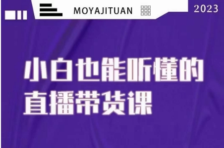 大威本威·能听懂的直播带货课，小白也能听懂，20节完整-赚钱驿站