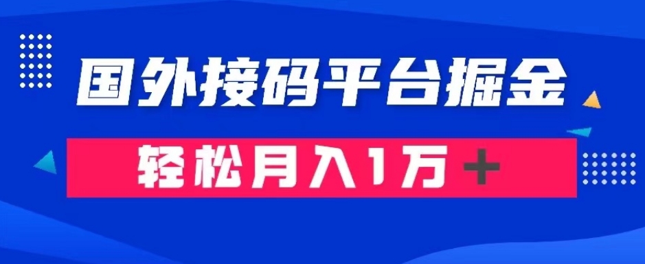 通过国外接码平台掘金：成本1.3，利润10＋，轻松月入1万＋【揭秘】-赚钱驿站