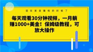 每天观看30分钟视频，一月躺赚1000+美金！保姆级教程，可放大操作【揭秘】-赚钱驿站