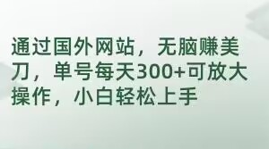 通过国外网站，无脑赚美刀，单号每天300+可放大操作，小白轻松上手【揭秘】-赚钱驿站