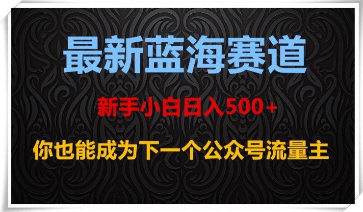 最新蓝海赛道，新手小白日入500+，你也能成为下一个公众号流量主【揭秘】-赚钱驿站