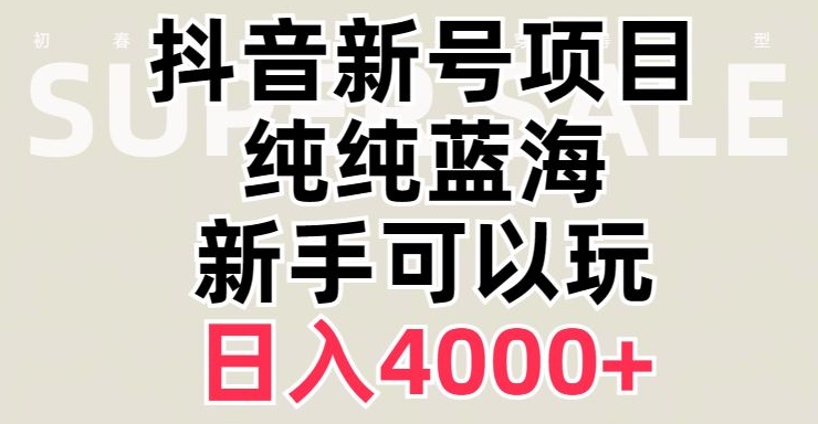 抖音蓝海赛道，必须是新账号，日入4000+【揭秘】-赚钱驿站