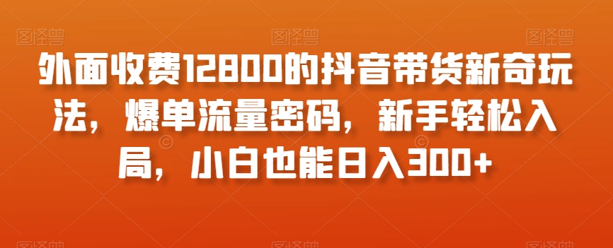 外面收费12800的抖音带货新奇玩法，爆单流量密码，新手轻松入局，小白也能日入300+【揭秘】-赚钱驿站