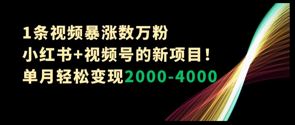 1条视频暴涨数万粉–小红书+视频号的新项目！单月轻松变现2000-4000【揭秘】-赚钱驿站