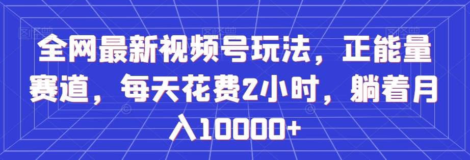 全网最新视频号玩法，正能量赛道，每天花费2小时，躺着月入10000+【揭秘】-赚钱驿站