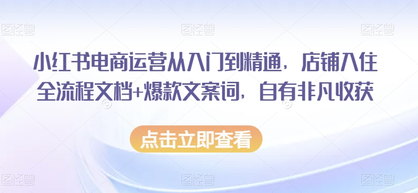 小红书电商运营从入门到精通，店铺入住全流程文档+爆款文案词，自有非凡收获-赚钱驿站