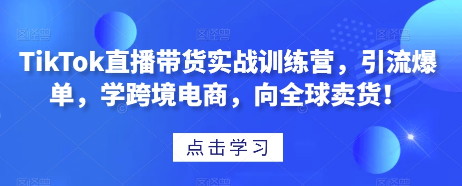 TikTok直播带货实战训练营，引流爆单，学跨境电商，向全球卖货！-赚钱驿站