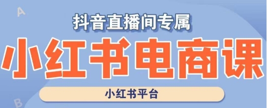 小红书电商高级运营课程，实操教学+案例分析-赚钱驿站