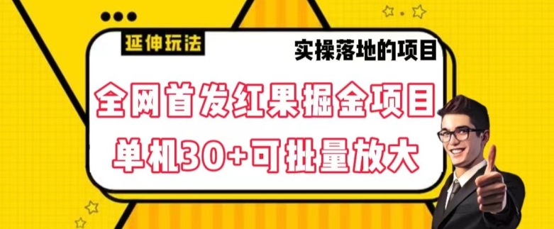 全网首发红果免费短剧掘金项目，单机30+可批量放大【揭秘】-赚钱驿站